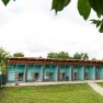 pegonni